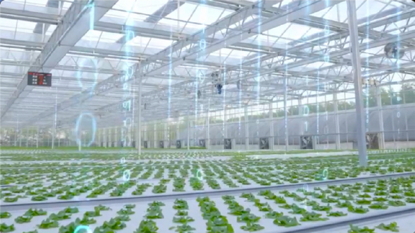 充满科技感的智慧农业，是年轻人的“菜”吗？