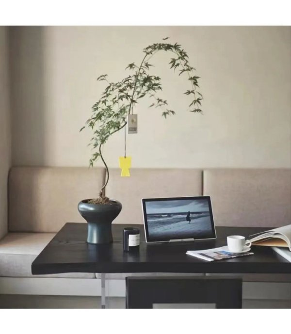 自由周刊，给自己的生活添点呼吸感